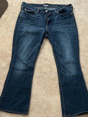 Women's Denizen Levi's Jeans 16S 33x30